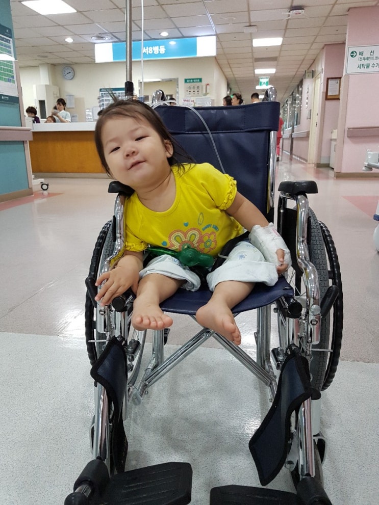  [19개월] 진상 안연우 선생... ㅡㅡ