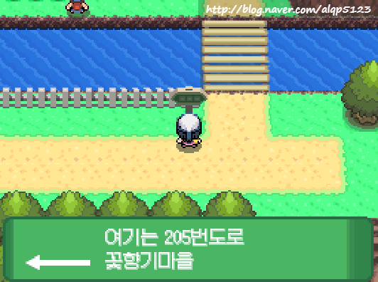  포켓몬스터 디아루가 영원의 숲