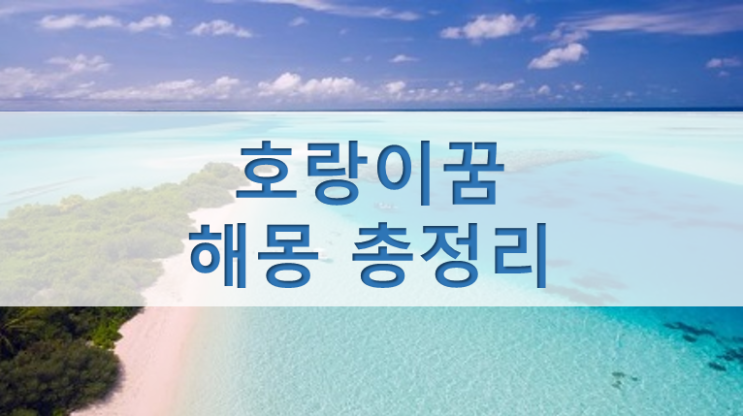  호랑이꿈 용맹함의 상징?