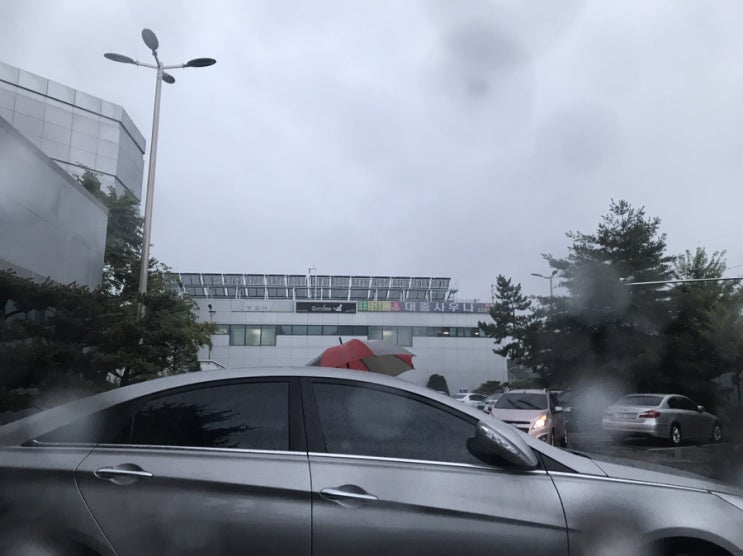  천안 종합운동장수영장 평일 자유수영 190725