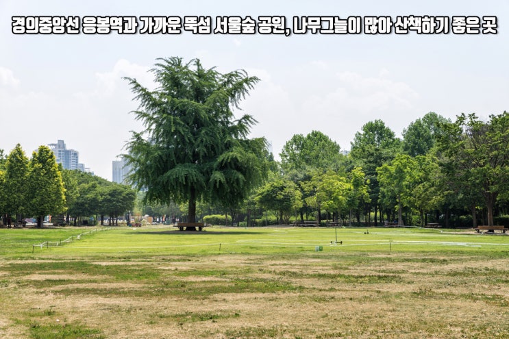 경의중앙선 응봉역과 가까운 뚝섬 서울숲공원, 나무그늘이 많아 산책하기 좋은 곳