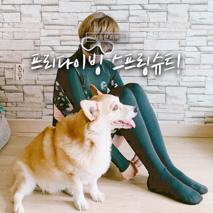  프리다이빙 전 지름신 강림! 스프링슈트 뭐 사지?! ( 베럴, 헐리, 록시, 립컬, 오닐 )