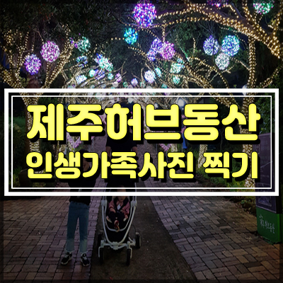  제주도 야경명소 제주 허브동산 밤에 가볼만 하네요~