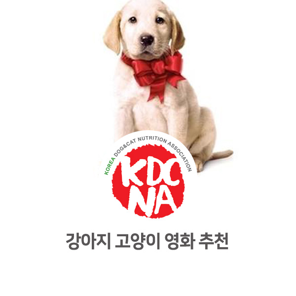  [반려동물 영양 전문 수제간식 창업] 쁘띠푸드가 추천하는 강아지 고양이 영화_50