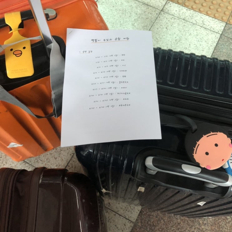  [Day0] 유럽경유지/베트남항공/노이바이(하노이)공항 맛집