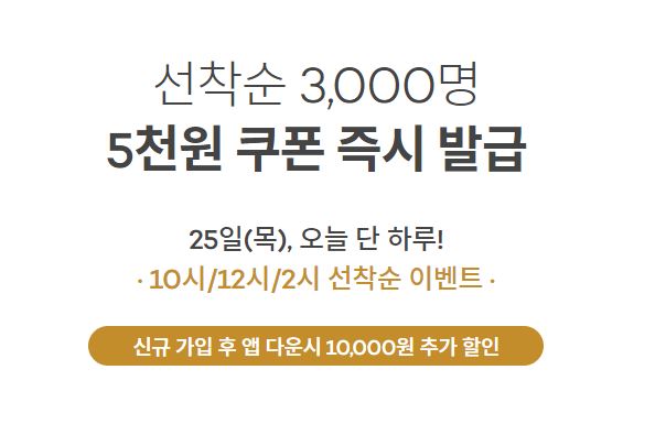  안다르 이벤트 선착순 쿠폰 지급!! 놓치지 마세요!