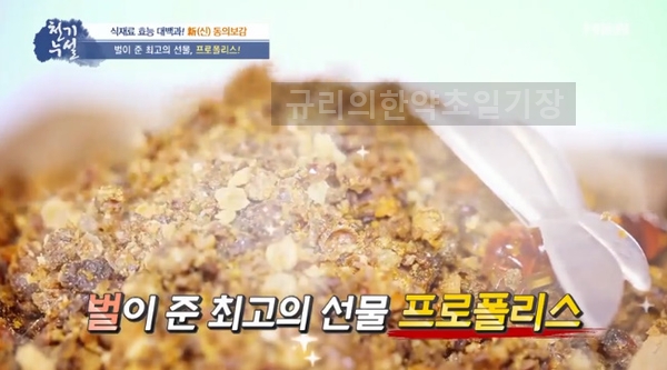  면역력 좋은 프로폴리스 효능 복용법? 프로폴리스 원액 효과 부작용 사용법은..