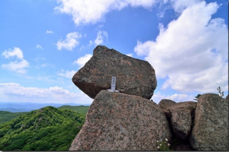  강원 인제 대암산, 서흥리 등산 코스, 용늪 생태체험