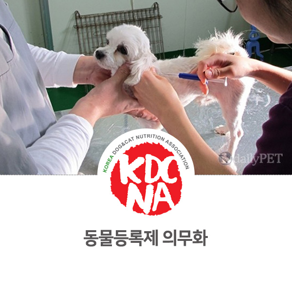 [반려동물 정보 뉴스] 동물등록제에 대한 반려인과 비반려인 입장_27