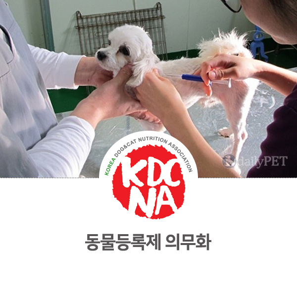  [반려동물 정보 뉴스] 동물등록제에 대한 반려인과 비반려인 입장_27