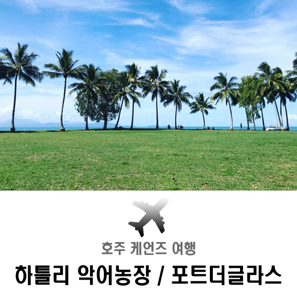  호주 케언즈 여행 하틀리 악어농장과 포트더글라스 투어 후기