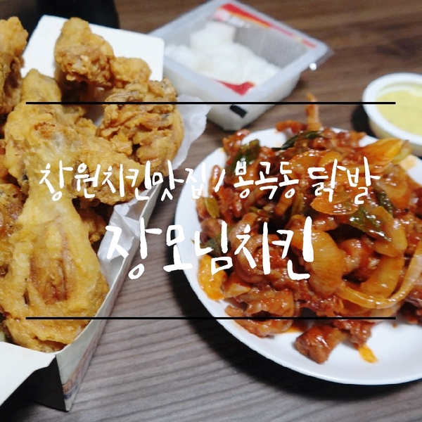 창원 치킨 맛집에서 만난 후라이드치킨과 인생 닭발, 장모님치킨 명곡점