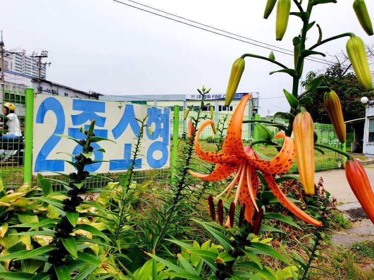  인천 오토바이면허 학원 주신으로 달료