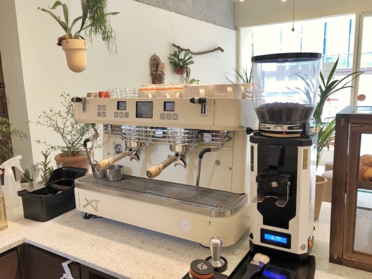  CAFE LIKABLE, 라이크어블, 대전카페, 대흥동카페, 대전플라워카페, 달라코르테, XT, 안핌, SP2, 대전카페창업컨설팅, 대전커피머신, 달라코르테공식수입원, 메테오라