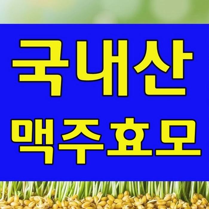  맥주효모 분말 가루 가격과 먹는법 & 맥주효모팩 만들기 추천