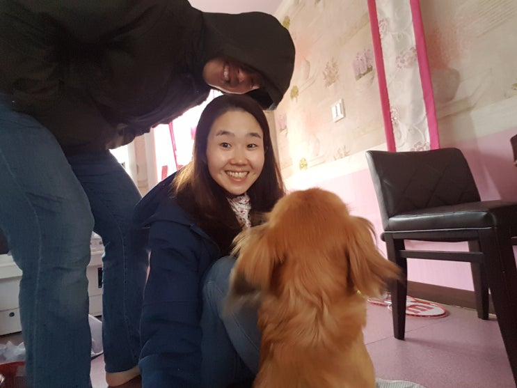 퀸스타운애견펜션 리얼후기