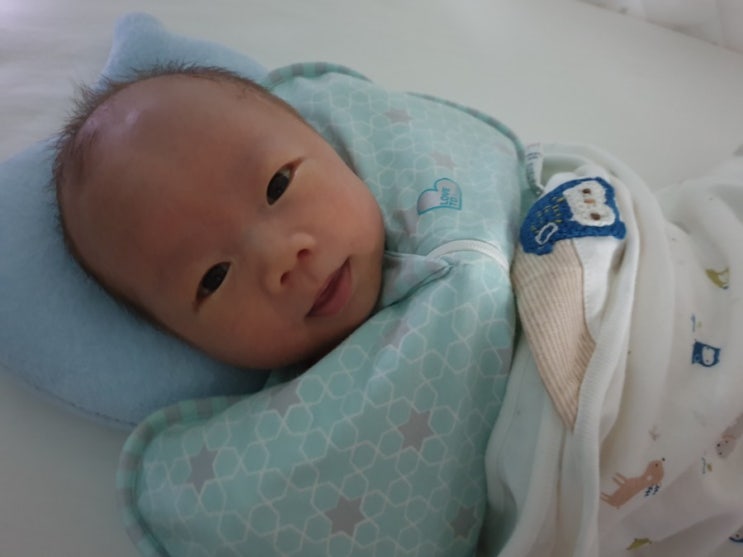  서우 집에오다 생후20~30일