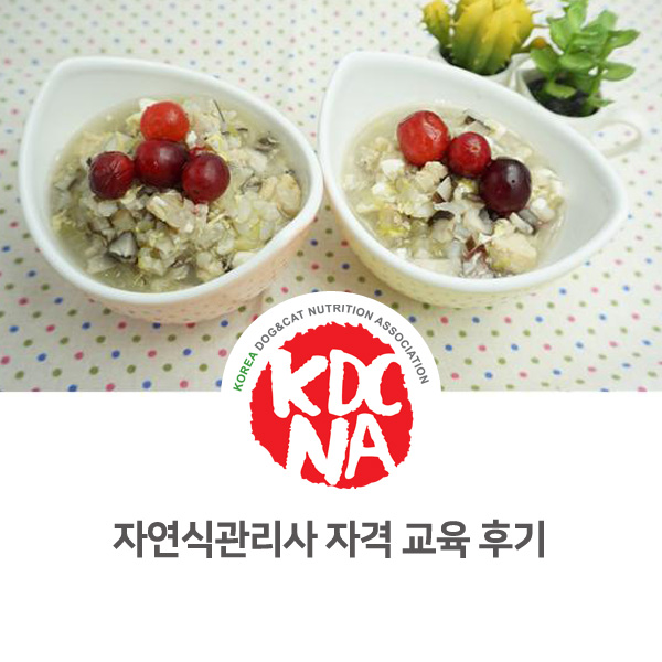  [반려동물 영양 전문 보호자 교육] 강아지 자연식 관리사 기초반 자격 과정_55