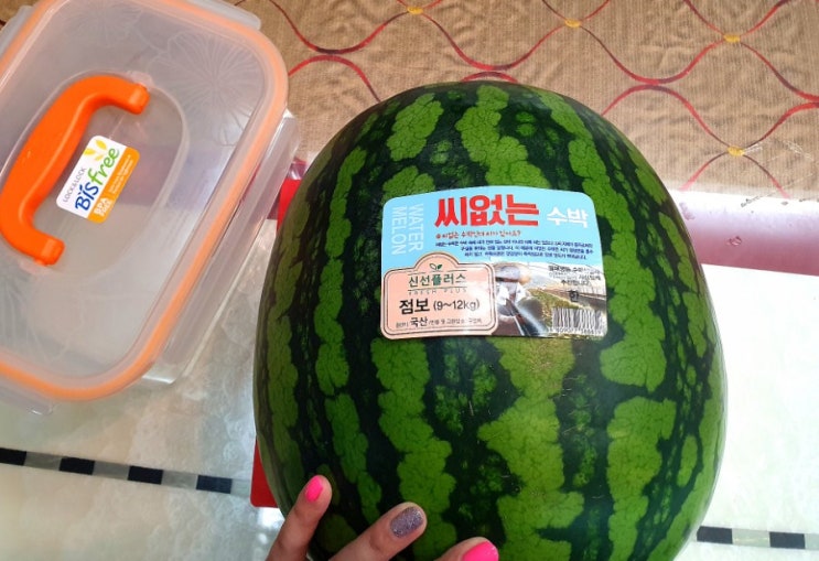  먹기편한 씨없는수박!강아지도함께먹어요 (Tip.맛있는수박고르는방법)