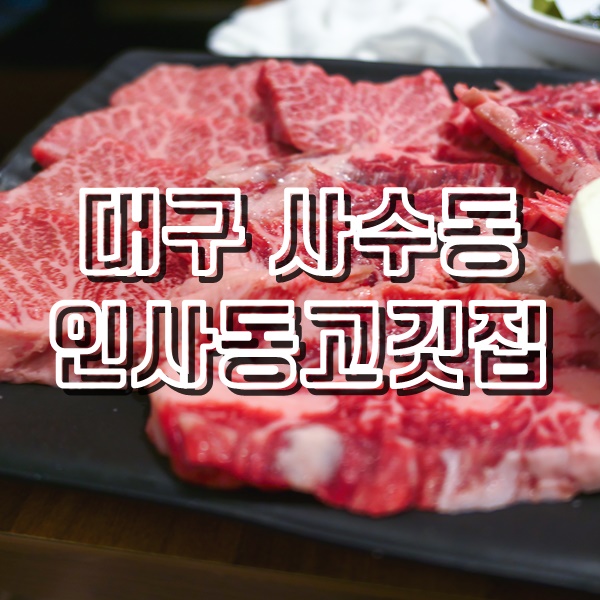 대구 사수동 맛집 인사동고깃집 한우갈비살