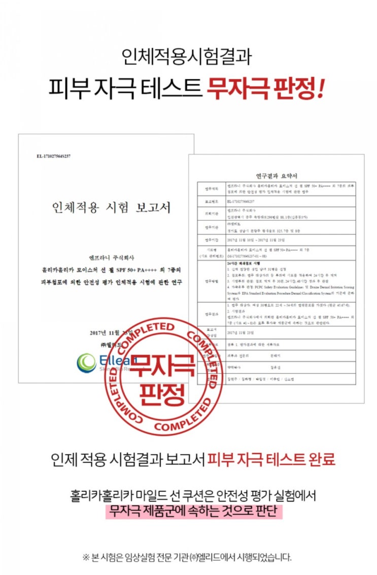  보헤미안웅의 시간여행 홀리카홀리카 스윗페코 에디션 NEW 마일드 페코 선쿠션