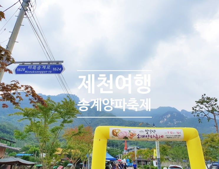  제천여름 더덕구이 송계양파축제 알찬 제천여행