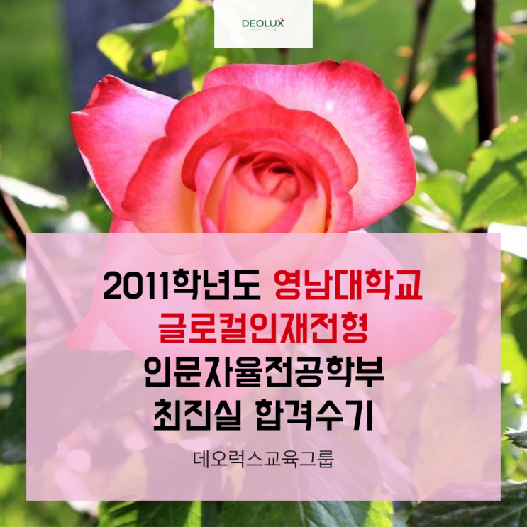  2011학년도 영남대학교 입학사정관전형(글로컬인재전형) 인문자율전공 합격수기