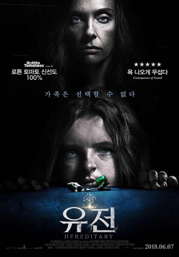  영화 : 유전 (Hereditary, 2017) - 오랜만에 만난 명작 스릴러 공포물