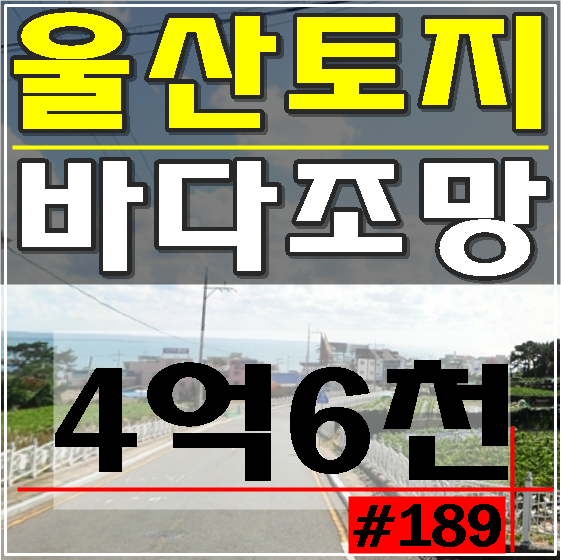 울산토지 울산토지매매 서생면 나사리 나사리해수욕장 서생땅