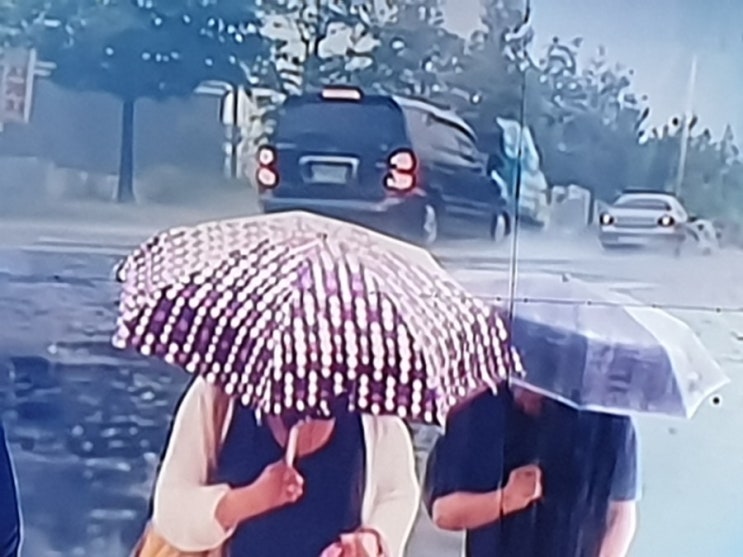  장마, 호우경보 폭우,뉴스