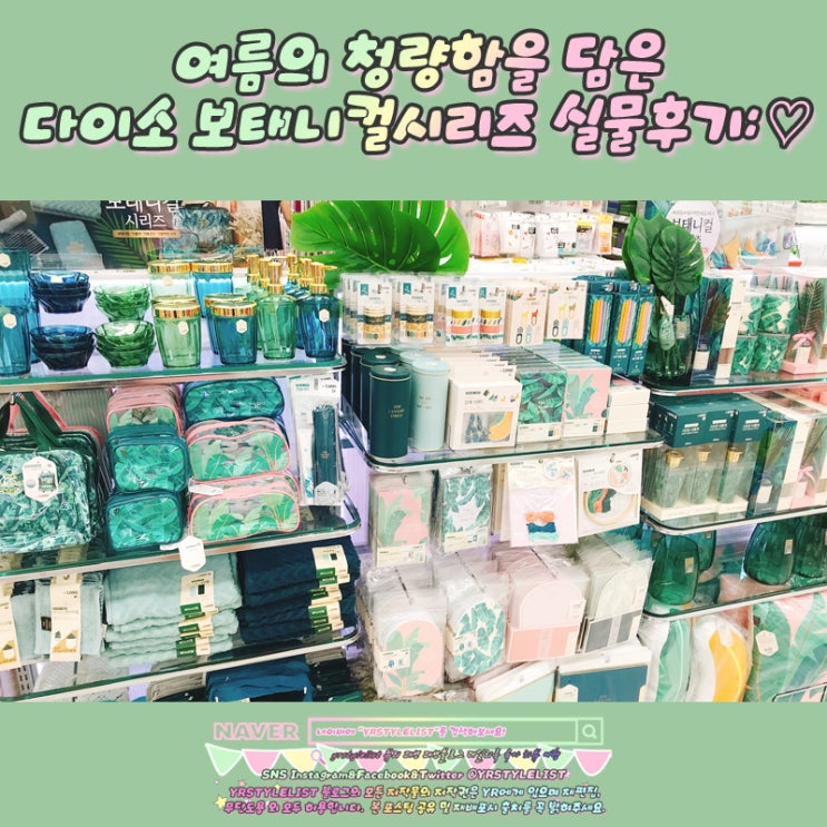  여름의 청량함을 담은 다이소 보태니컬시리즈 실물후기: