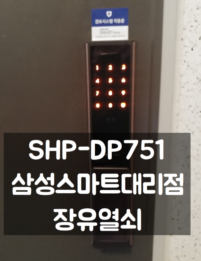  김해 장유 삼성 신제품 푸시풀 도어록 SHP-DP751 세영리첼 아파트 설치후기