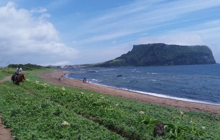  (8월의문주란과 광치기해변) 8월의꽃 문주란과 광치기해변18選
