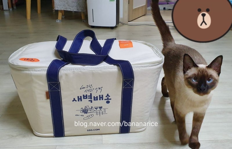 환경보호도 되는 이마트 새벽배송 보냉백!!