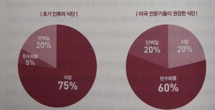  [책 파먹기 17] 그레인 브레인