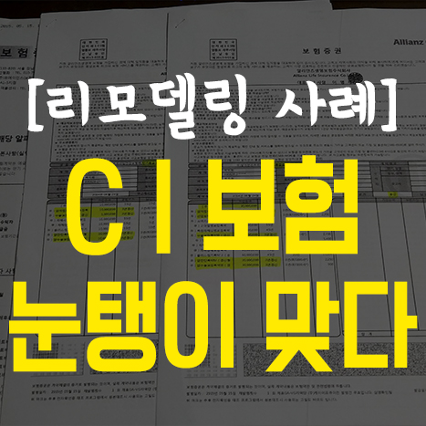  [보험 리모델링] CI보험(종신)+갱신형에 당하다