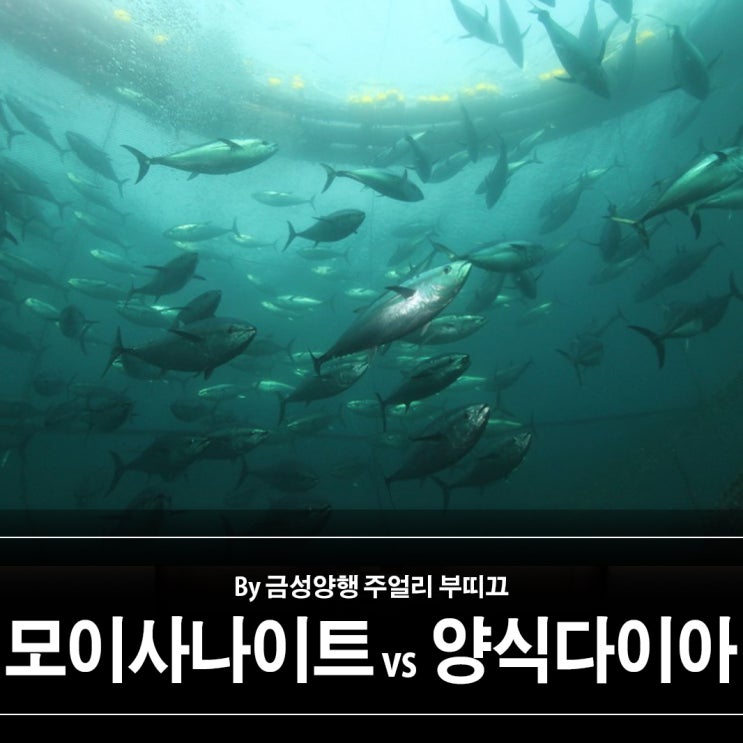 FAQ : 모이사나이트와 양식(랩그로운)다이아몬드가 다른 건가요? FAQ : 모이사나이트와 양식(랩그로운)다이아몬드가 다른 건가요?