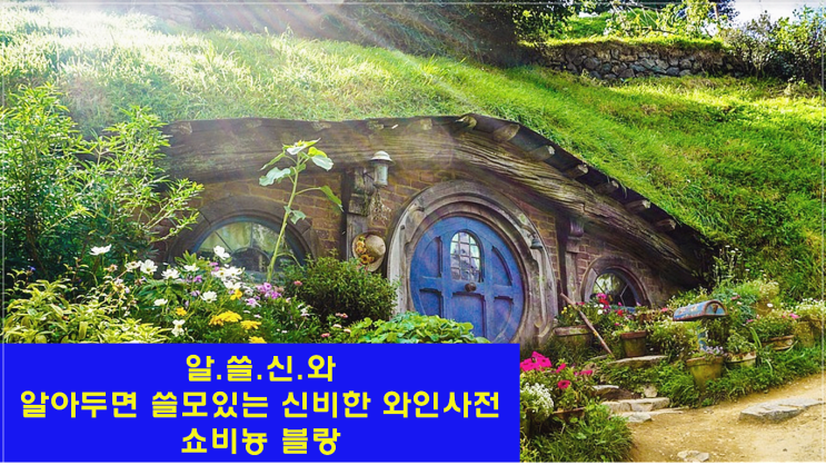  [알.쓸.신.와(?)]알아두면 쓸모있는 신비한 와인사전 - 쇼비뇽 블랑