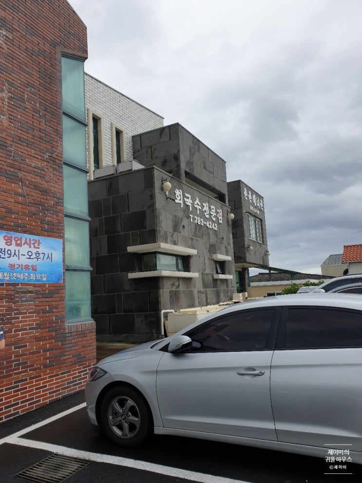  제주 맛집 : 원조 회국수 동복리 '해녀촌'