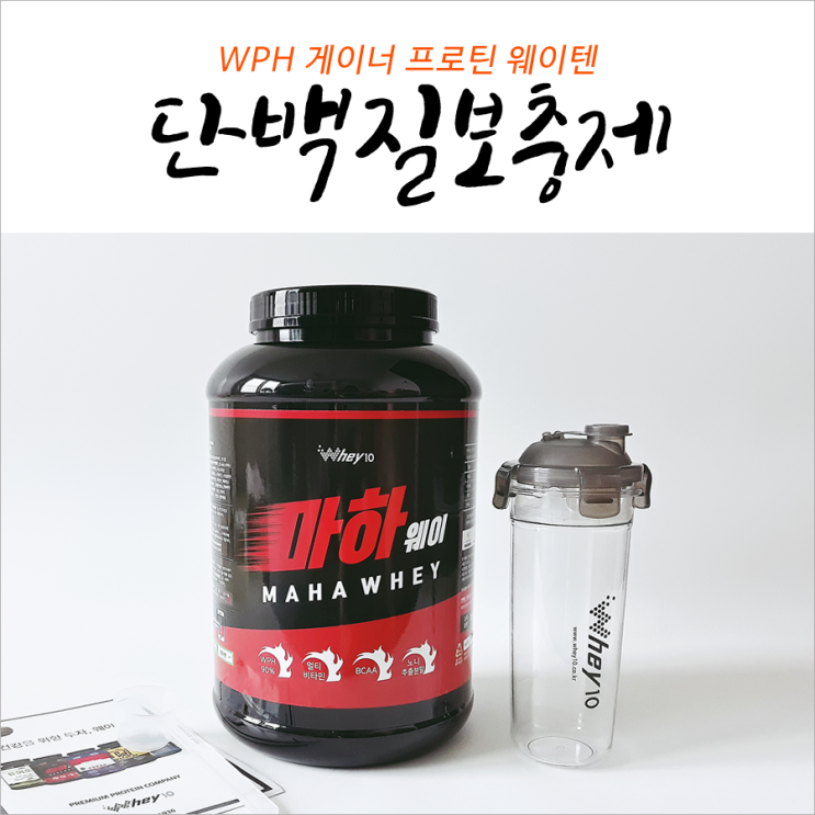 웨이텐 게이너 프로틴 순위 단백질보충제추천