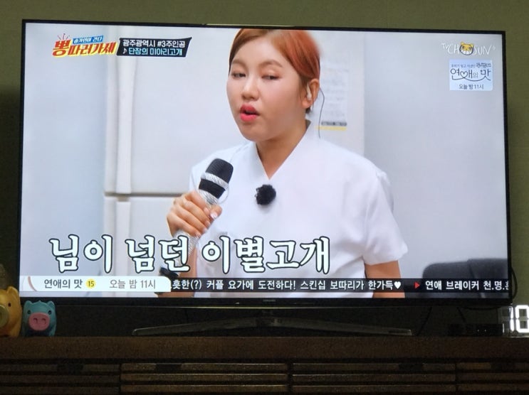  [일상] 트롯에 푹 빠진 삼식이