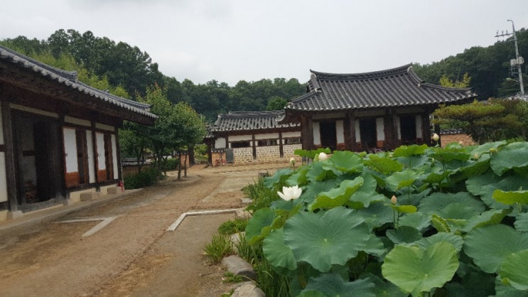  [소풍]육영수여사생가