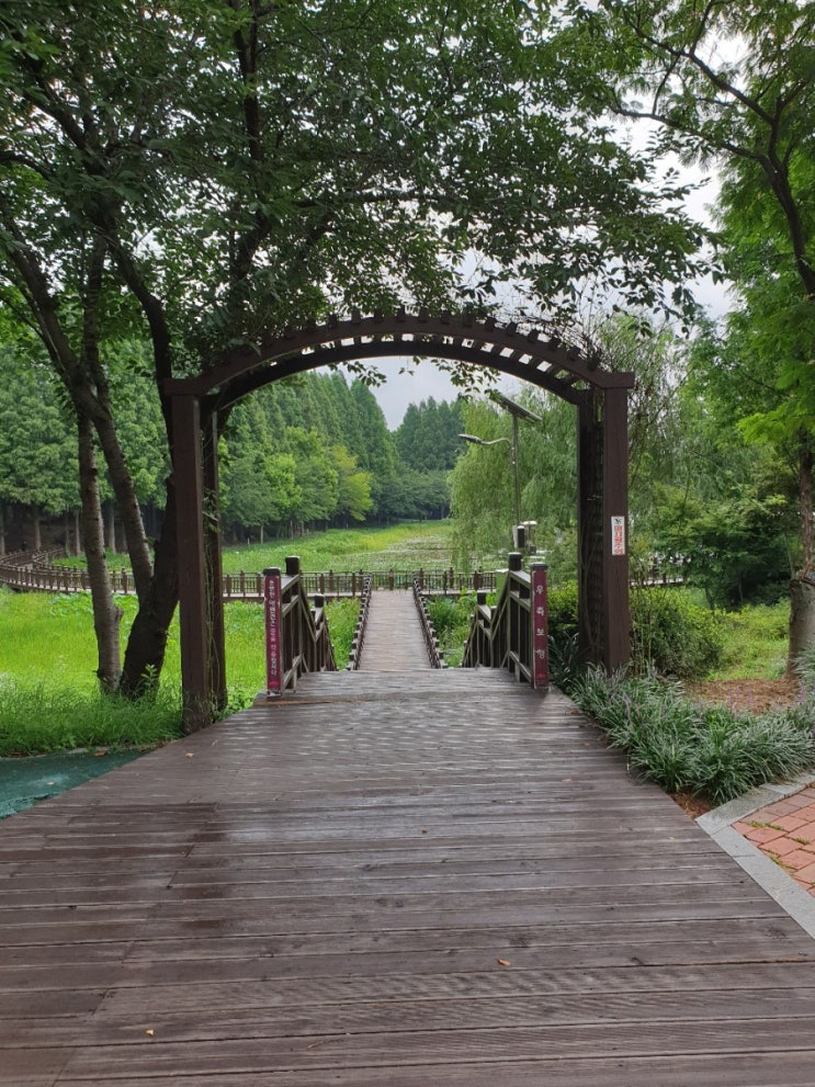  김제 가볼만한곳, 김제 시민 문화 체육공원(검산 체육공원)을 산책하다.