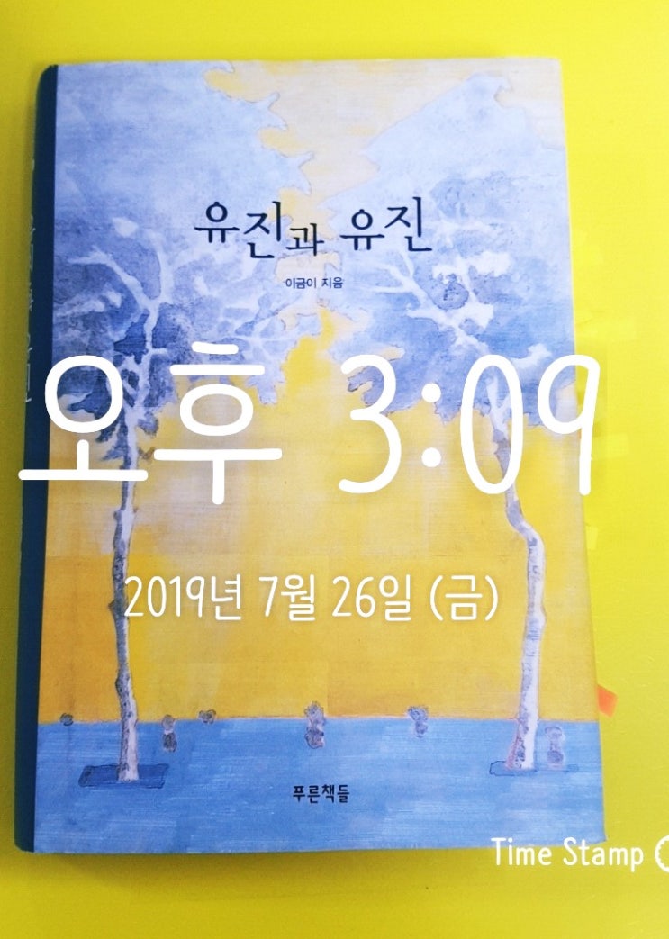  85/2019-39, 유진과 유진, 이금이 지음