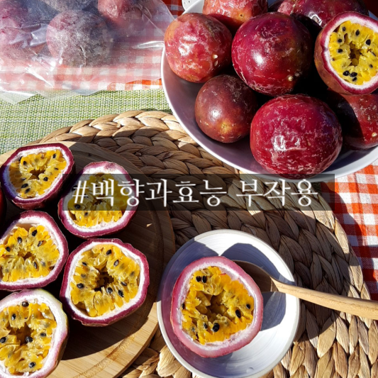  백향과효능 부작용 무엇일까?
