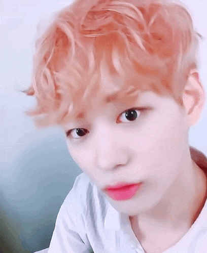  [바이나인 데뷔해 / 이세진 빙의글] 마리몽 말고 저좀 봐줄래요?