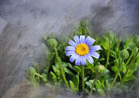  마리끌레르/주간운세/2019년 7월27일~8월2일/전체별자리