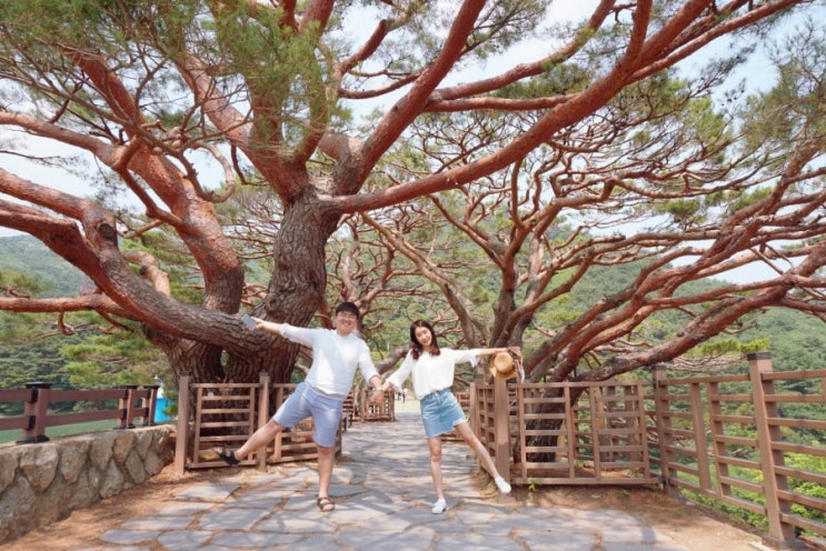 양산 법기수원지 나들이