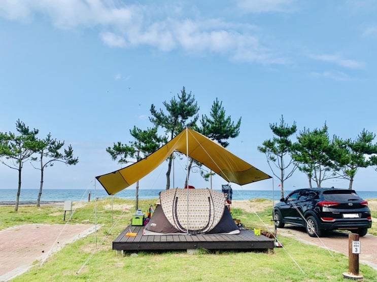  [강원 동해] 망상오토캠핑장