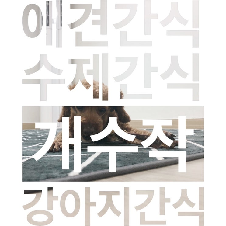  강아지수제간식쇼핑몰 애견수제간식 개수작